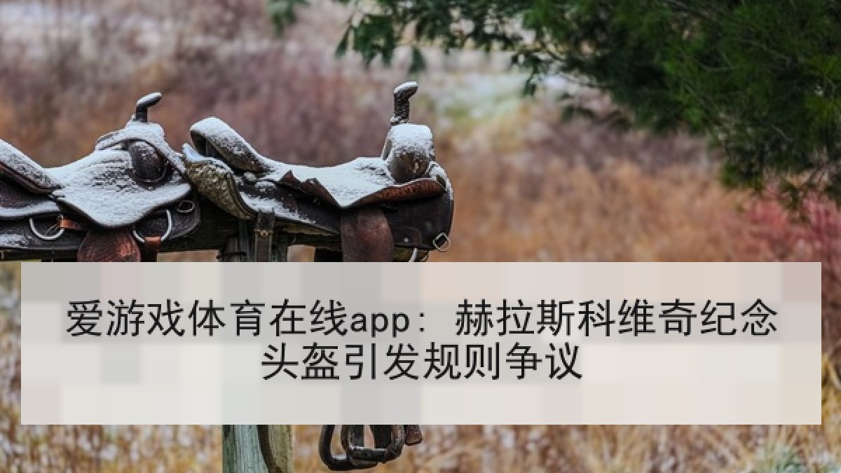 爱游戏体育在线app: 赫拉斯科维奇纪念头盔引发规则争议 爱游戏体育在线app: 赫拉斯科维奇纪念头盔引发规则争议